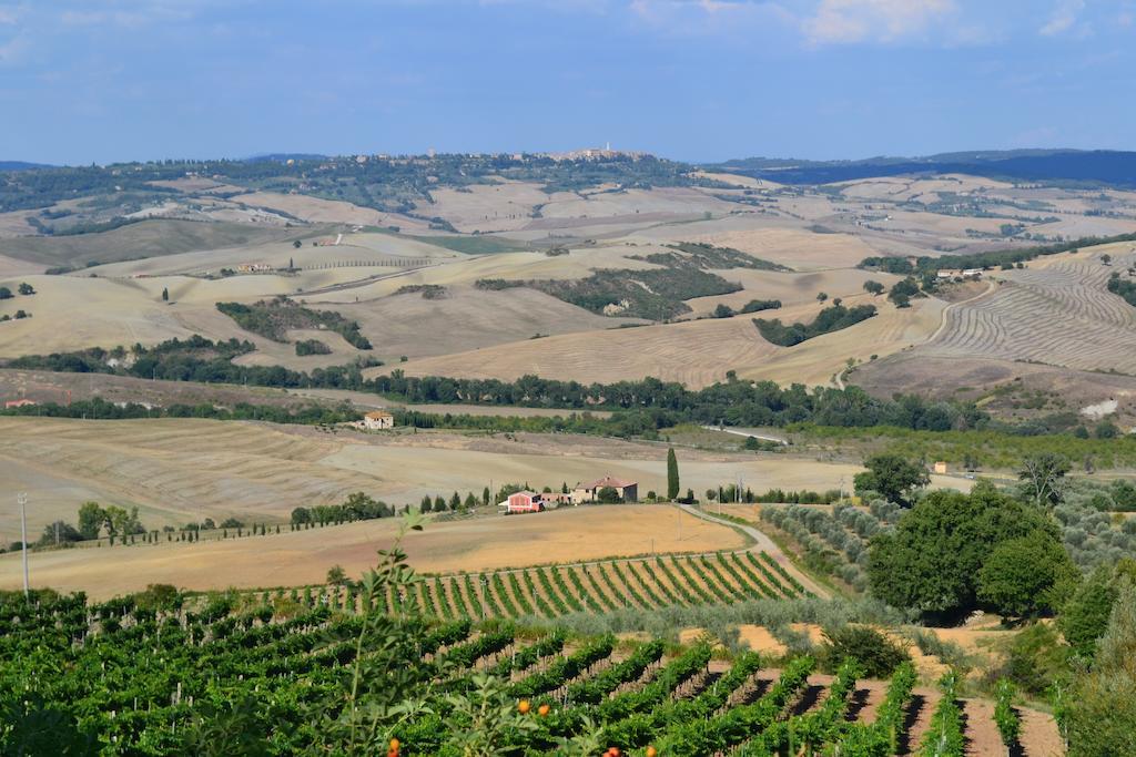 Agriturismo La Disperata Villa San Quirico dʼOrcia Szoba fotó